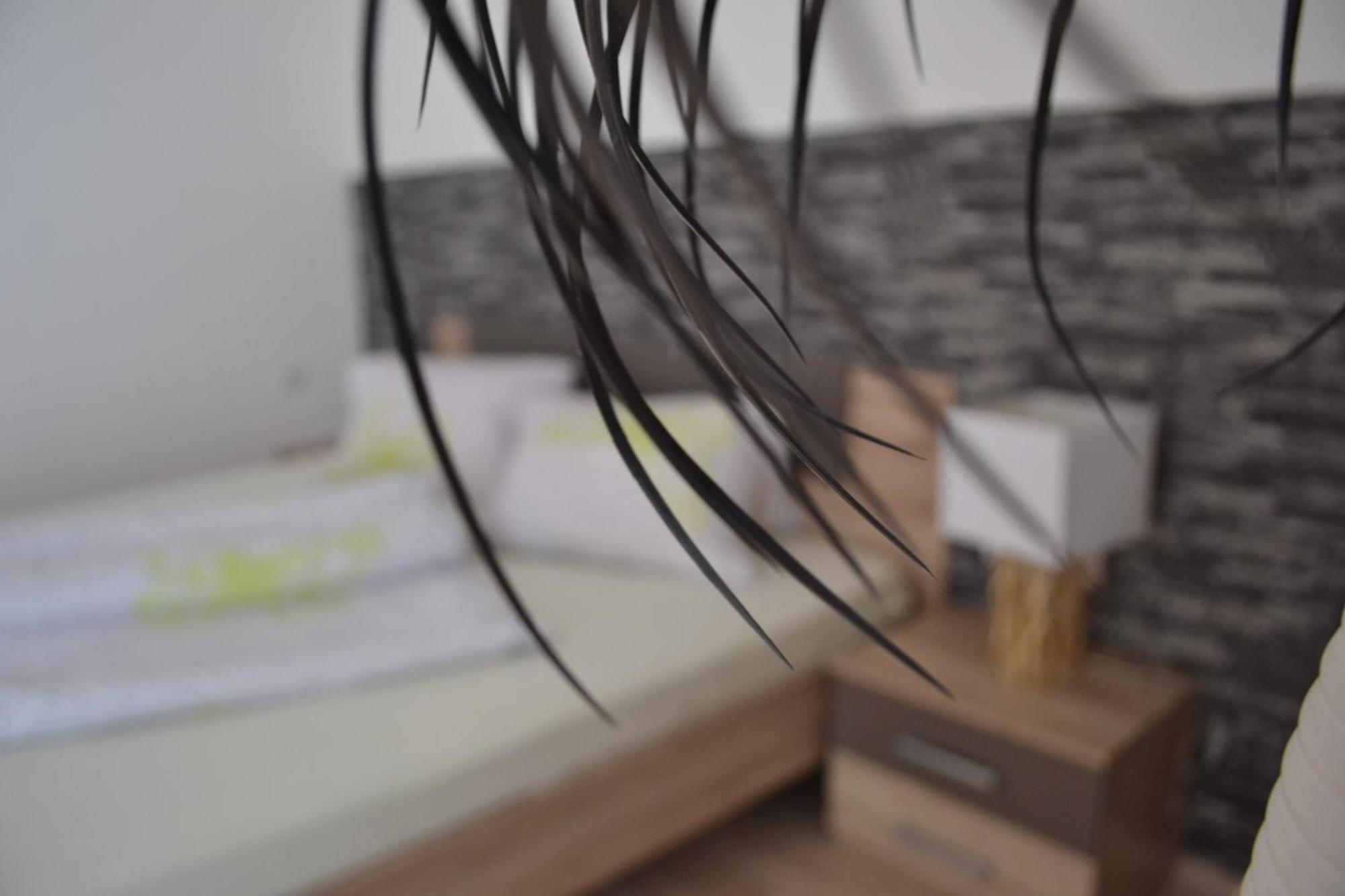 Appartement Thermenzeit Längenfeld Eksteriør bilde